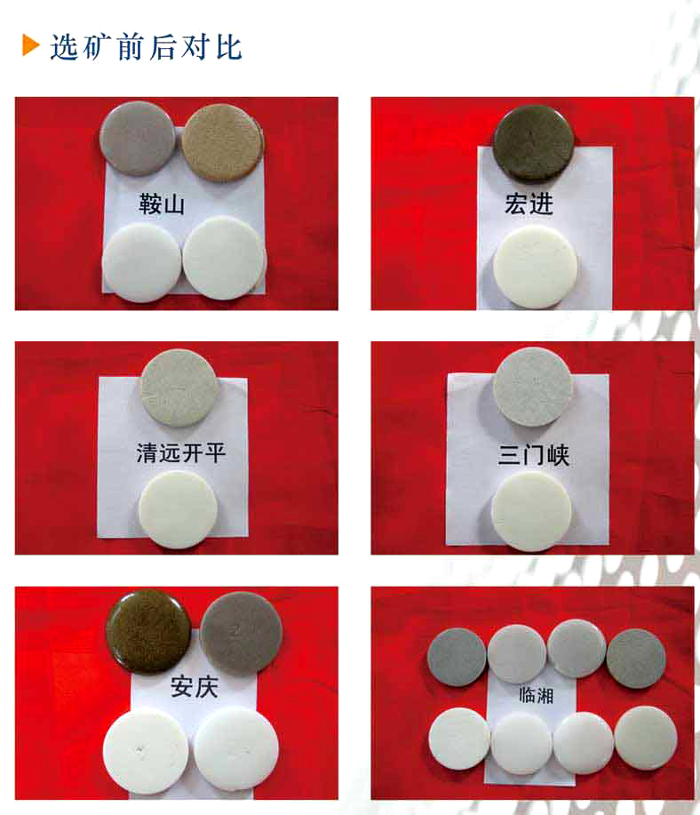 正能量网站免费观看
